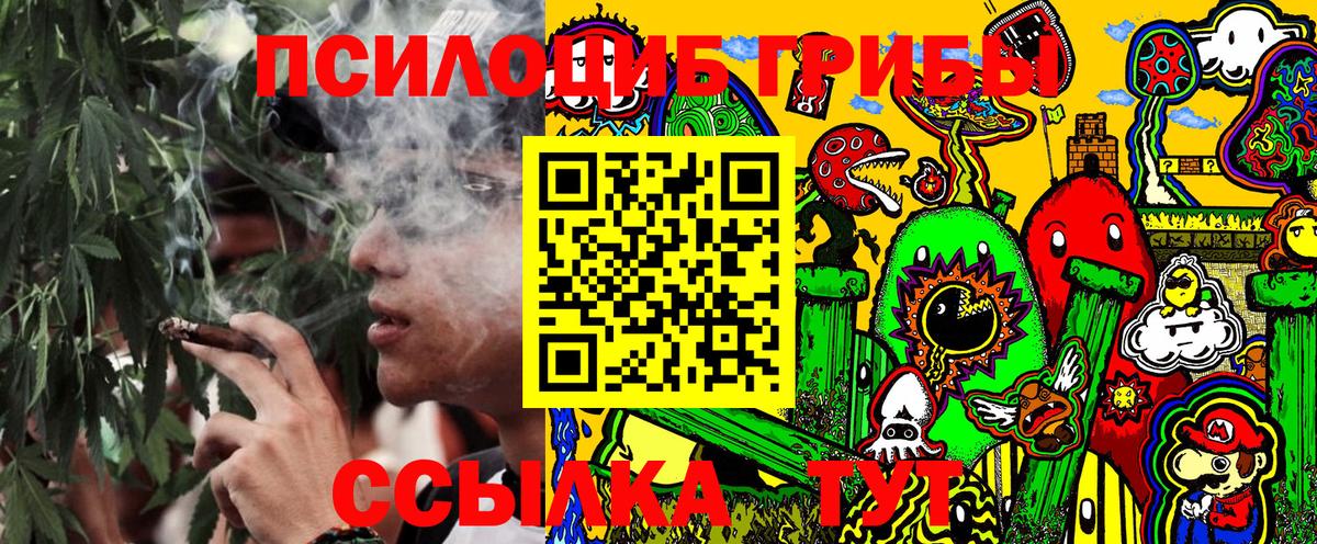 Хабаровск  купить   Вход с VPN  Галлюциногенные грибы GOLDEN TEACHER 
